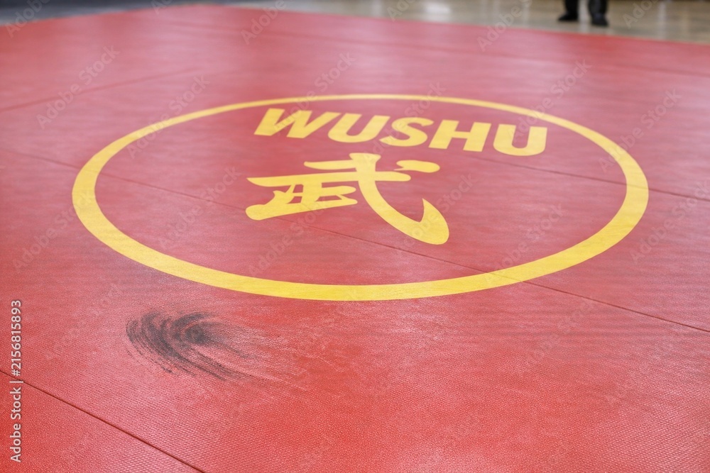 Fototapeta premium A close-up shot of a wushu mat with the words 'wushu' written on it