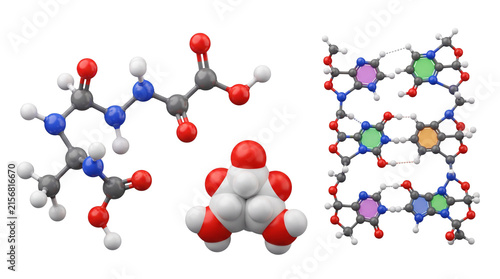 Molecular structure models for scientific education, chemical bond ball and stick diagrams, DNA helix and organic molecule visualization isolated PNG with Transparent Background
