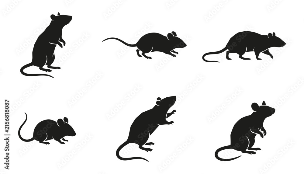 Fototapeta premium Black Rat Silhouette Icon Set Featuring Rodent Characters in Various Poses for Pest Control Signage and Creative Graphic Designs