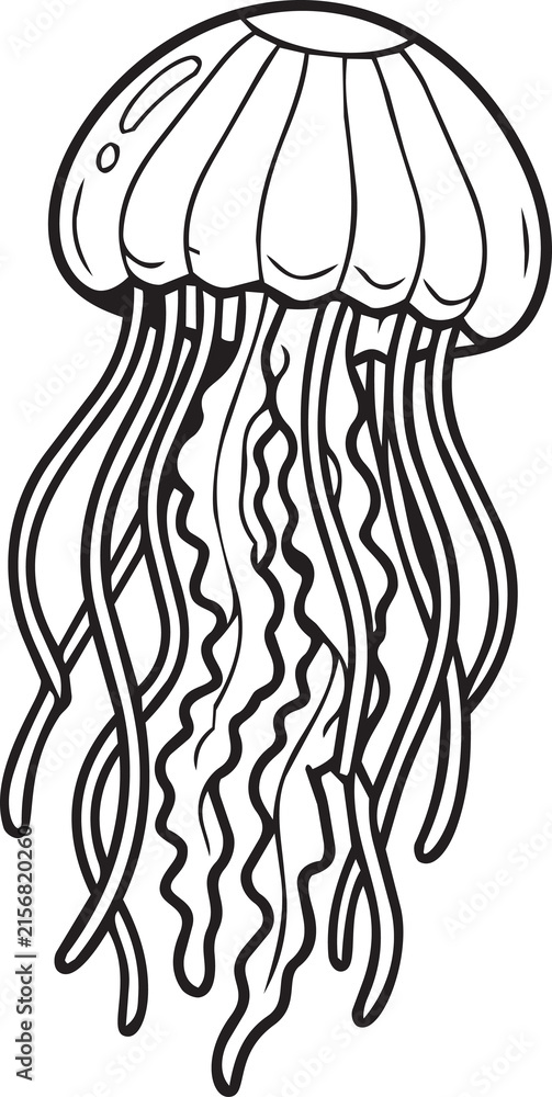 Fototapeta premium Jellyfish Floating Swimming Line Art Vector Illustration