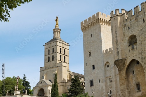 Photography View of the Papal Palace and the Notre Dame des Doms Cathedral in Avignon historic city
