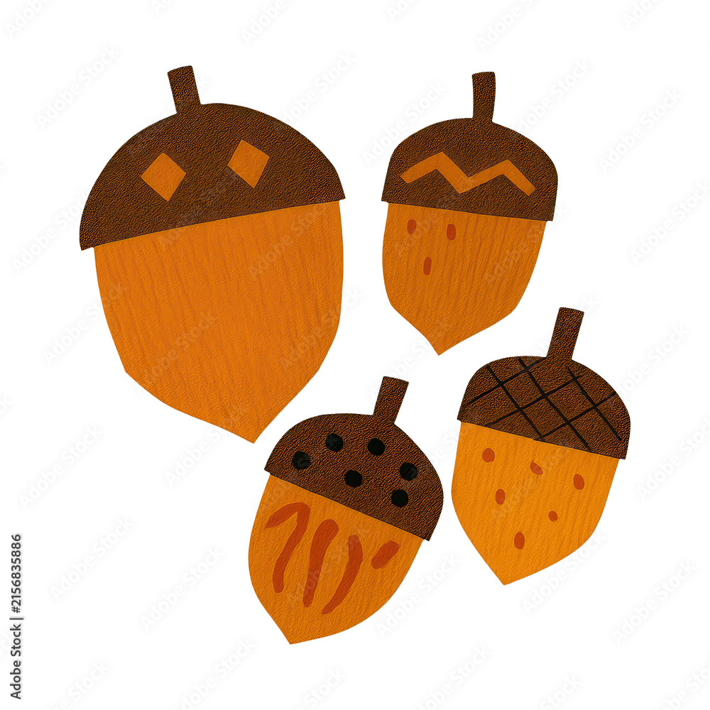 Fototapeta premium PNG Colorful acorn illustration design