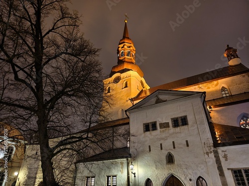 Low angle night view of illuminated St Mary's Cathedral (Dome Church) tower and bare winter tree in Tallinn, Estonia.