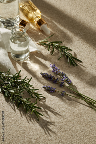 Stunning high-resolution capture featuring photo, elegant botanical composition featuring lavender stems, rosemary branches and glass droppers, minimalist beauty aesthetic, no branding.
