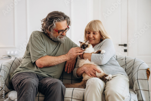Cuadro en lienzo Senior couple sitting on a couch at home, interacting with a fluffy cat, showcas