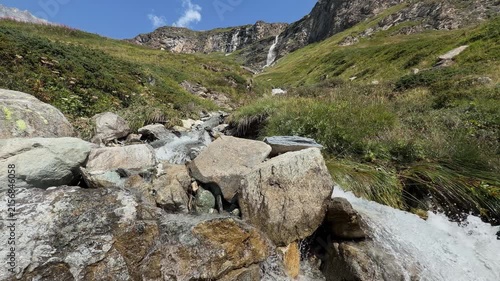 mountain stream in the mountains in cervinia italy