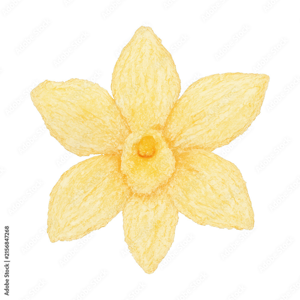 Fototapeta premium PNG Yellow flower watercolor illustration