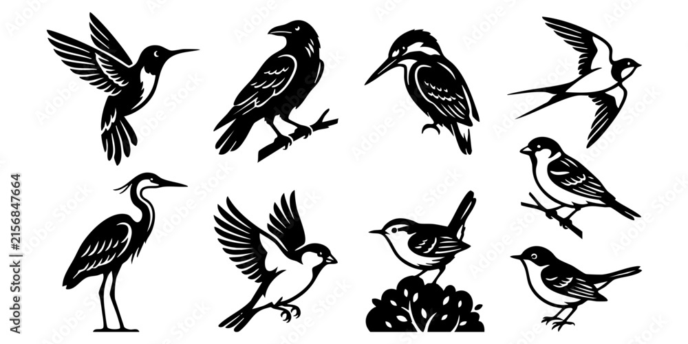 Obraz premium Set of black silhouette birds, including hummingbirds, crows, kingfishers, swallows, herons, and sparrows in various poses