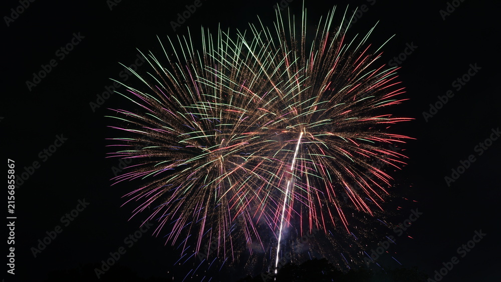 Fototapeta premium Vibrant Colorful Fireworks Displaying over the Night Sky during Japanese Summer Hanabi Festival