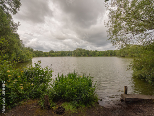 Photography The very interesting mere at Shakerley Mere, Northwich, Cheshire, UK