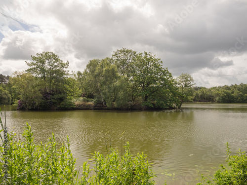 Canvas Print The very interesting mere at Shakerley Mere, Northwich, Cheshire, UK
