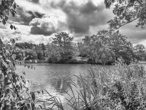 Fotografie The very interesting mere at Shakerley Mere, Northwich, Cheshire, UK