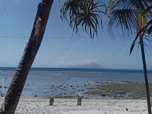 palm trees on the beach In ternate Island.
