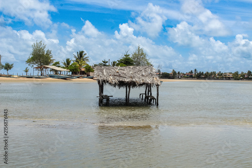 Obraz na płótnie Rustic thatched wooden hut standing in shallow tropical water in Brazil
