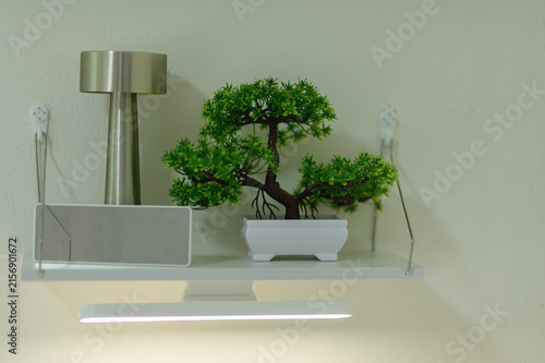 Minimalist home decor with potted bonsai tree and modern lamp on floating shelf
