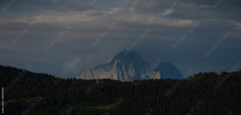 Naklejka premium Summer view of the Mont Blanc massif above forested slopes 