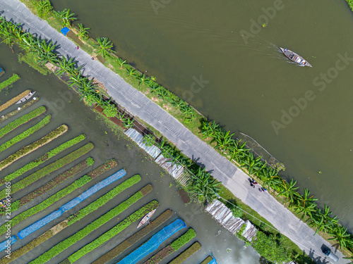Pirojpur District, Barisal Division, Bangladesh - 09 August 2026: Aerial view of floating gardens and narrow roads lined with banana trees in a riverine landscape with wooden boats.