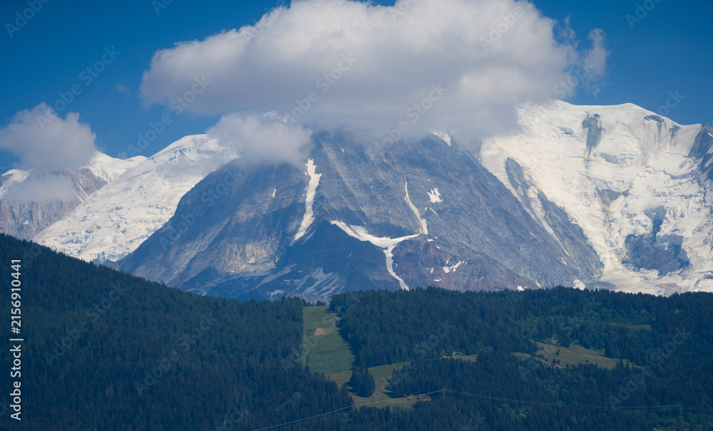 Naklejka premium Summer view of the Mont Blanc massif above forested slopes 