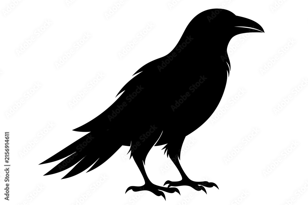 Fototapeta premium Crow raven bird vector illustration, Crow silhouette vector