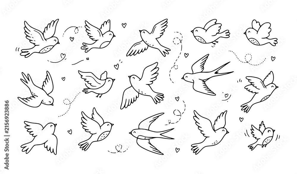 Obraz premium Collection of flying and sitting bird outline illustrations showing different poses and natural movements