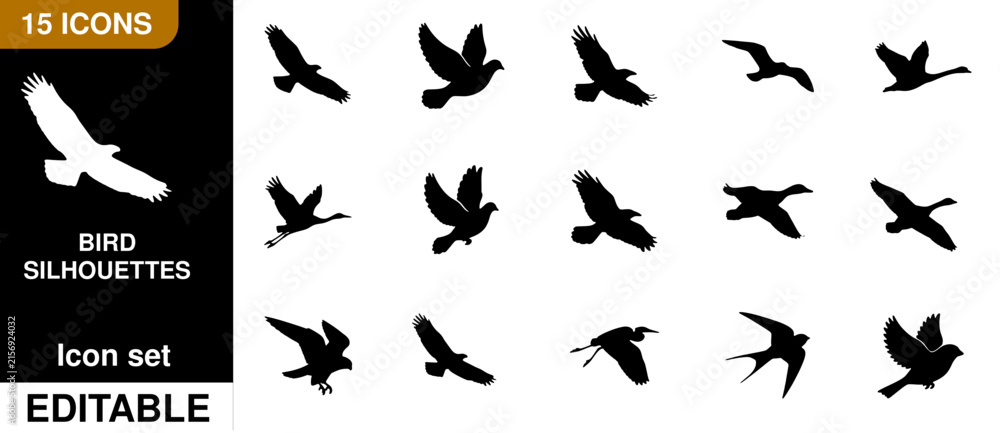 Obraz premium Fifteen black bird silhouettes in various flight poses, featuring diverse avian species, isolated on a white background for