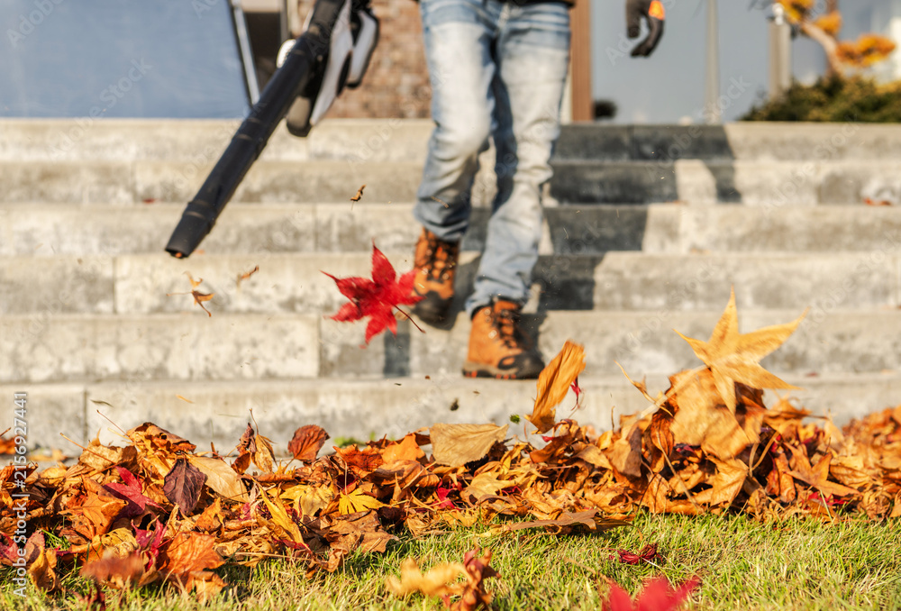 Naklejka premium Fall yard cleanup with a leaf blower in a residential area