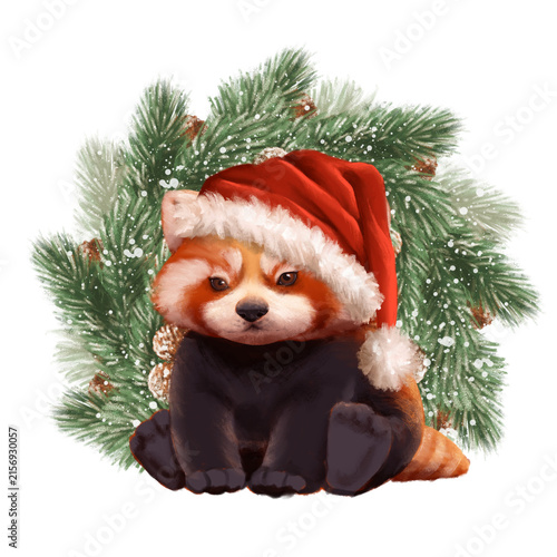 Cute hand drawn red panda with Santa hat and pine branches Christmas illustration