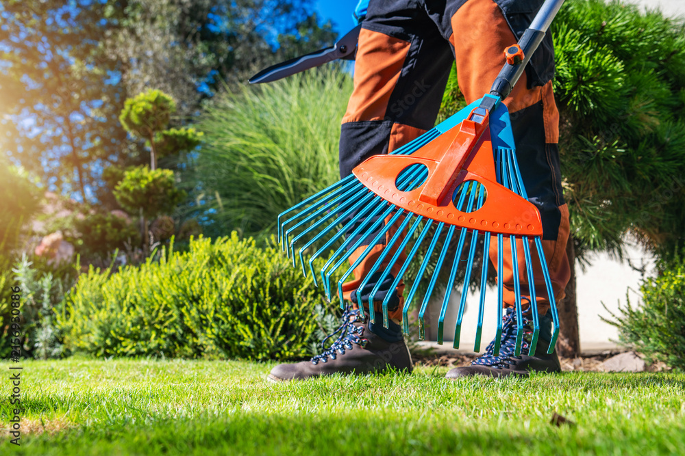 Fototapeta premium Person raking leaves in a garden during a sunny day
