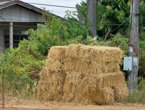 Canvastavla Stacked hay bales offered for sale beside a rural house, reflecting local agriculture and countryside commerce, taken in rural Thailand