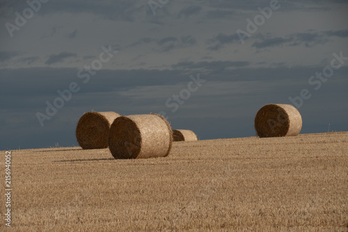 Straw bales in a field with stormy sky