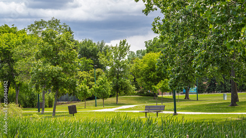 фотографія Scenic Urban Park with Green Trees, Walking Paths, Benches, and Summer Landscape