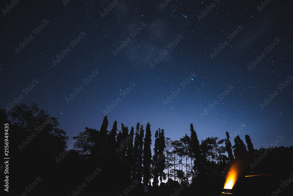 Obraz premium Starry night sky tree silhouette camping tent starry night sky above dark tree silhouette and glowing camping tent, creating peaceful outdoor scene beneath clear celestial backdrop