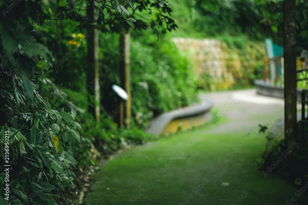 Obraz premium Garden path greenery foliage walkway nature outdoor park leaf tree blurred garden path with lush green foliage and soft focus background for peaceful natural landscape scene