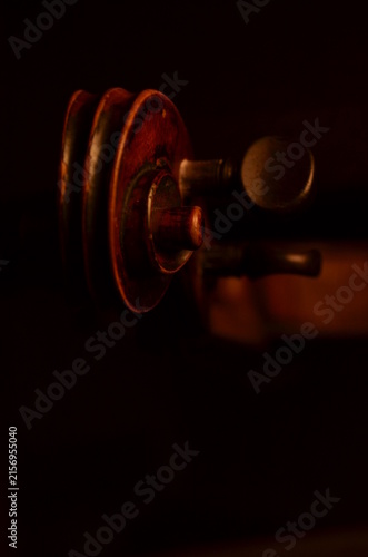 Fotografie Volute violon clair obscure