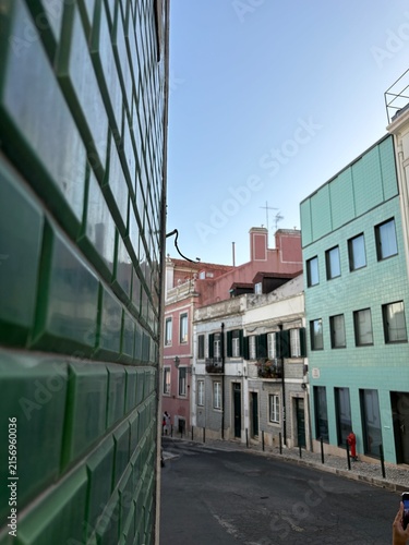Принти на полотні green hause wall