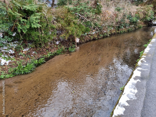 Shallow Stream Flowing Beside Snowy Path in Winter Countryside