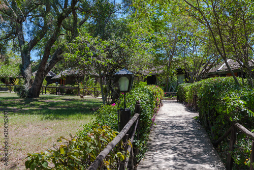 Safari lodges in Kenya. Africa's tourist landscapes