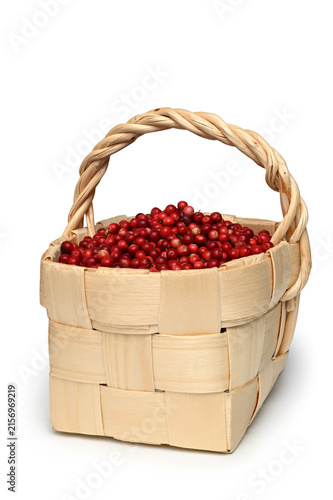 Forest red cowberries in wicker basket