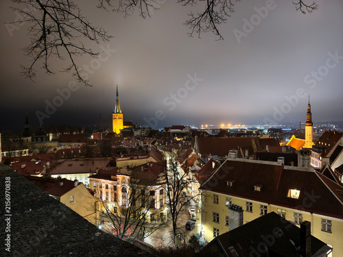 High angle night view of Tallinn Old Town skyline framed by tree branches, illuminated St. Olaf's Church spire and Town Hall tower in Estonia.