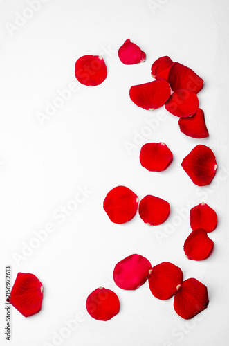 red rose petals on a white background