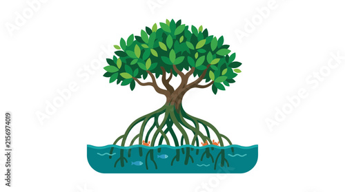 Mangrove Tree Ecosystem Isolated Transparent Background