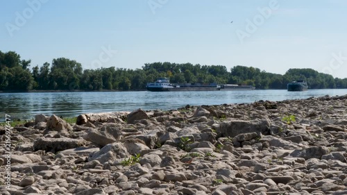 Banks and riverbed of Rhine river in Walluf, Germany. Extraordinary low water level after a long period of drought in 2026.
