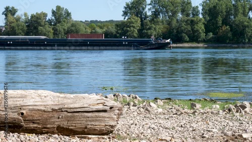 Banks and riverbed of Rhine river in Walluf, Germany. Extraordinary low water level after a long period of drought in 2026.