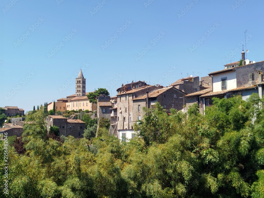 Fototapeta premium Panoramic View of Viterbo Rooftops and Historic Facades with Bell Tower