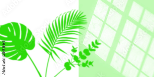 Bright green palm leaves on a geometric... isolated on a transparent background