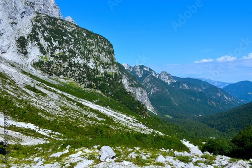 Mountain landscape with rock scree and alpne vegetation in summer above Krnica valley in Jullian alps, Gorenjska, Slovenia