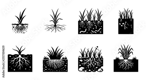 Grass Root Systems, Soil Layers, Plant Growth Stages, Vector Icons Set
