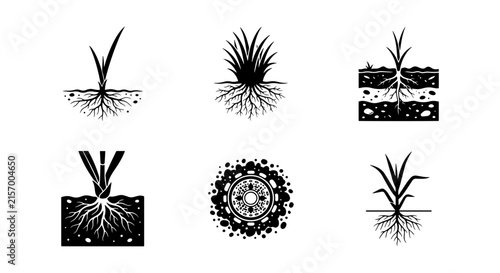 Plant Root System Icons, Soil Layers and Growth Diagrams, Organic Farming Vector Set