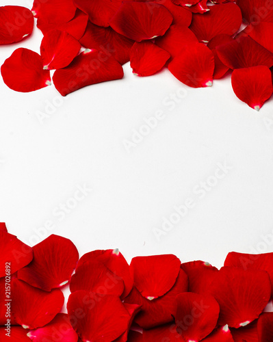 red rose petals