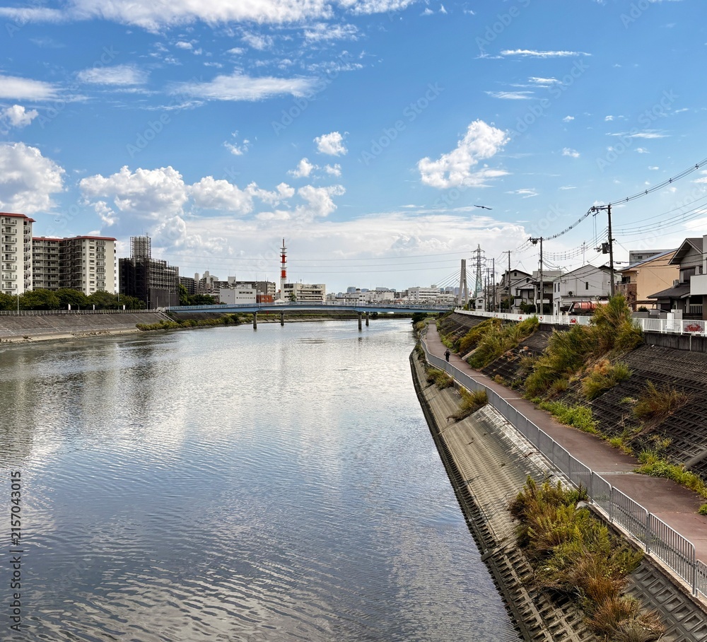 Obraz premium River and Urban Landscape with Bridge, Airplane and Bird